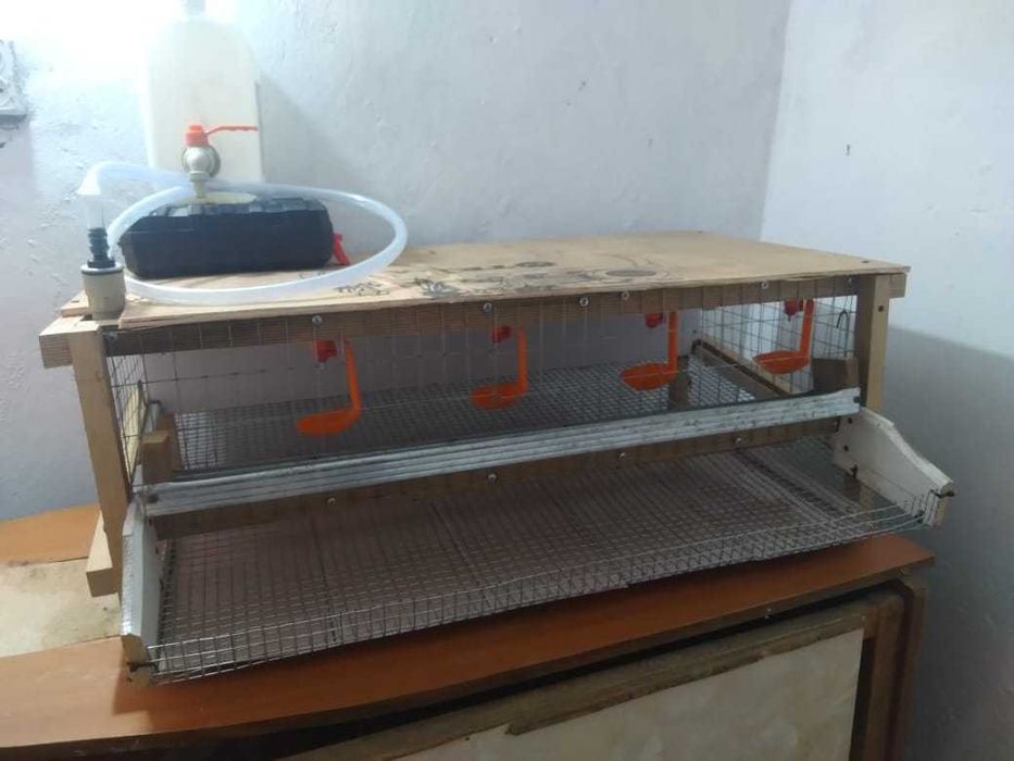 Клетка для перипелок