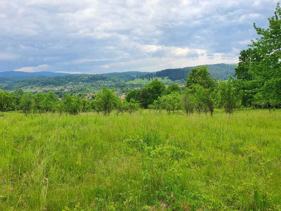 24.500mp - TEREN INVESTIȚII-1.6€/ mp Camping/Pensiune/Turism PANORAMĂ