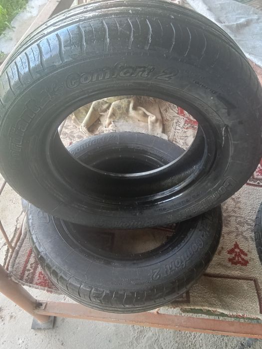 Балон екеуы летни екеуы зимни