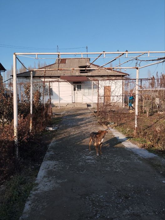 Uchastka sotiladi yer maydonlari bor maktab bogcha trassaga yaqinroq