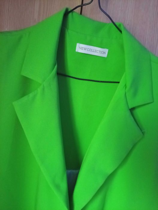 Vesta eleganta verde