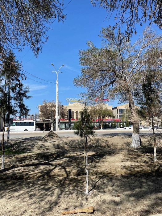 Аренда офиса или любая коммерческая деятельность от собственника