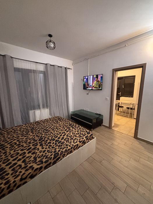 apartament 1 camera