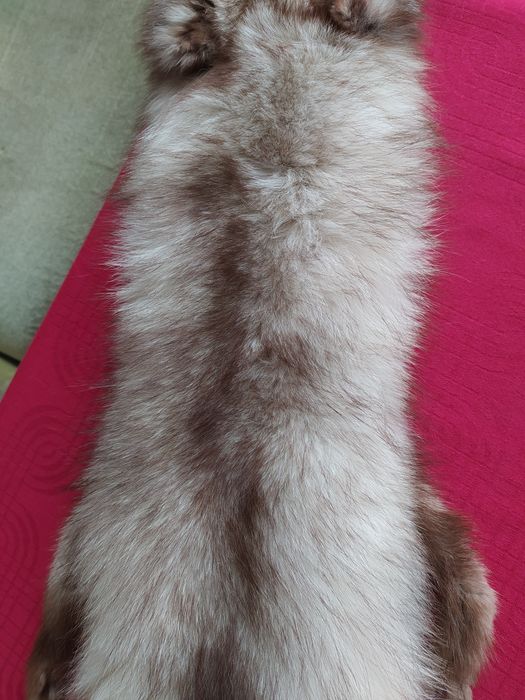 Яка от цяла сребърна лисица