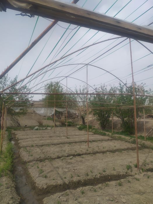 Parnik bor ishlayotgani va yangi ishlatilmagani xam bor arzon narxda s