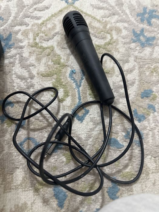 Караоке с микрафоном