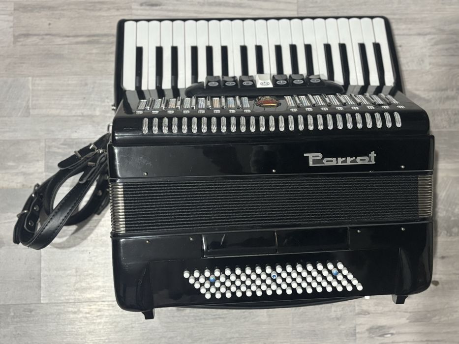 Acordeon Parrot 80 bași
