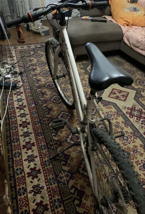 Bicicleta Nakamura Violet 26