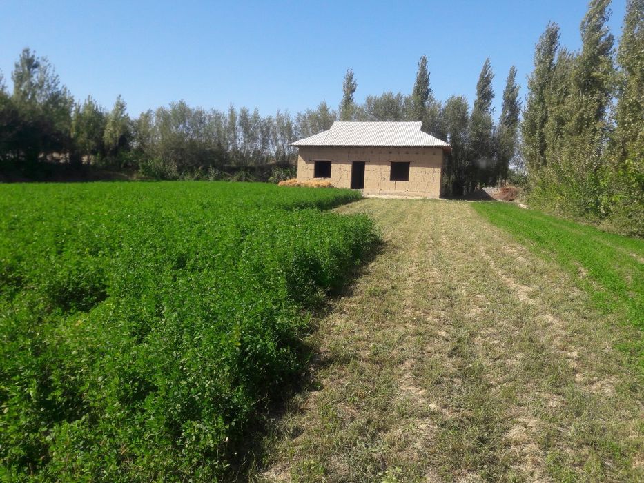 Уй сотилади 3 хонали