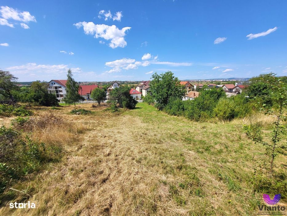 Teren Intravilan 546 mp | Panorama deosebita | PUZ in lucru
