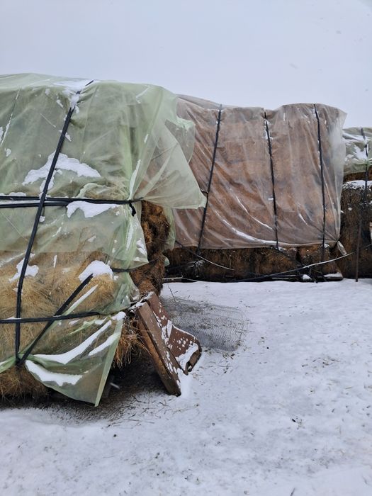 Baloti lucerna coasa 2.3.4