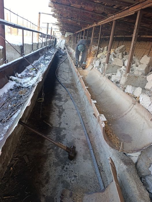 Uy va binolar buzish xizmati