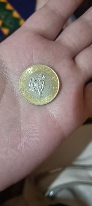 Тиын коллекция новый