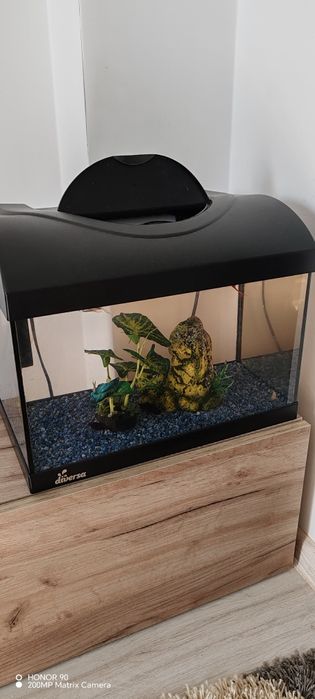 Acvariu Diversa Startup 40 led