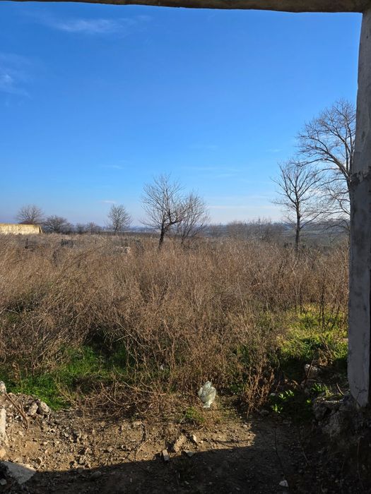 Grajd ,hală, clădire