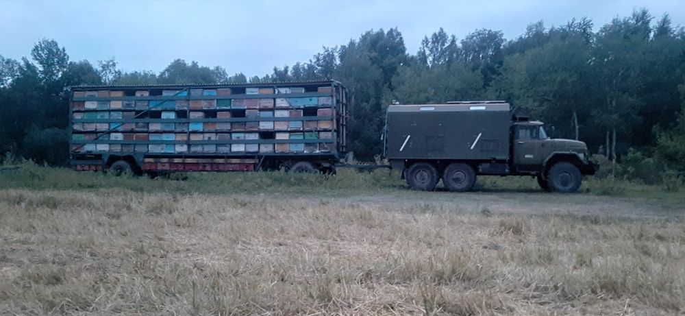 Продам пчелопавильон на 134 семьи