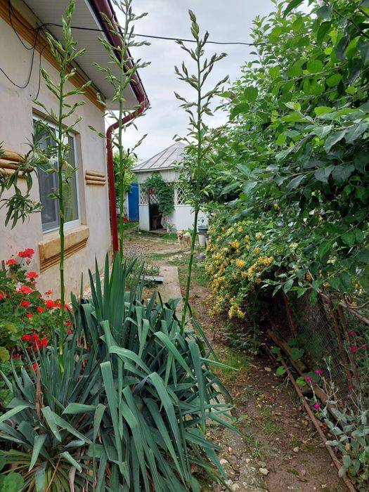 Vand casa de locuit si teren 4000 mp