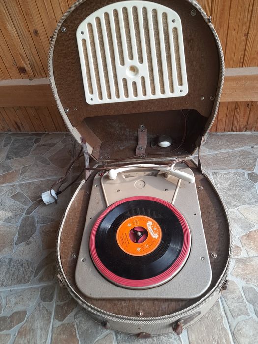 Pikapuri import Germania