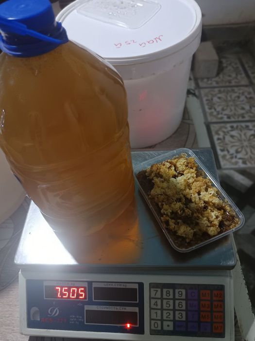 Asal choʻl asali (Мед пустынный)