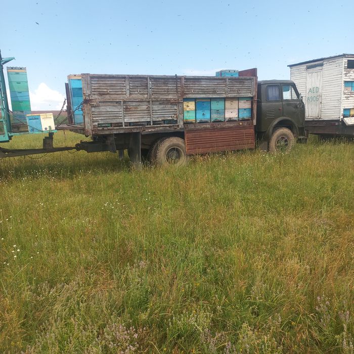Продам пасеку в сцепке!!!