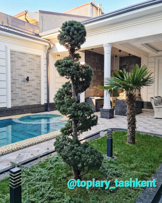 Retro porno film Nina