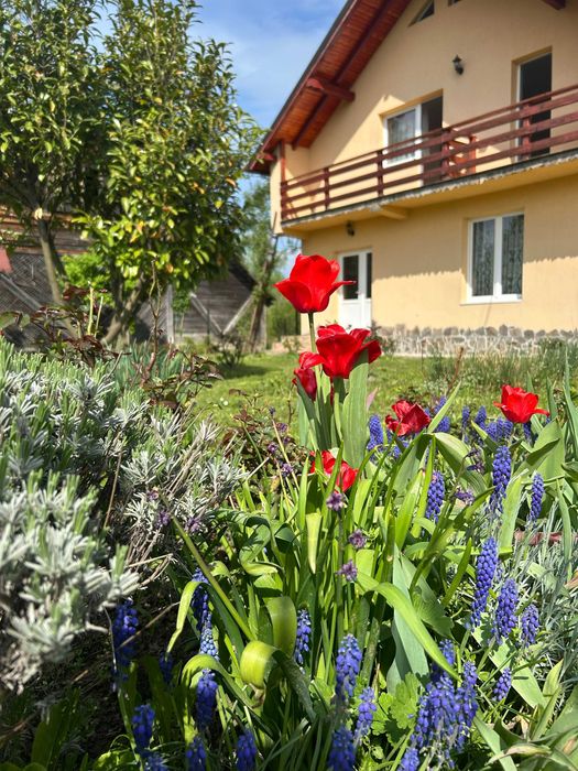 Casa de vanzare Ocna Sugatag