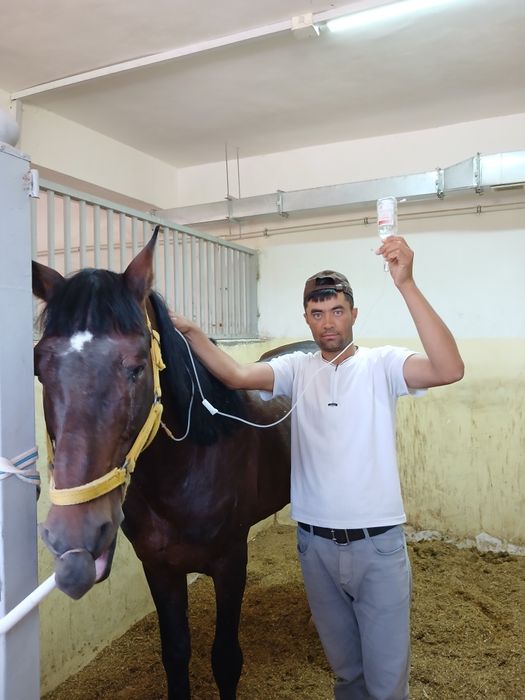 Kafolatli veterinariya xizmati