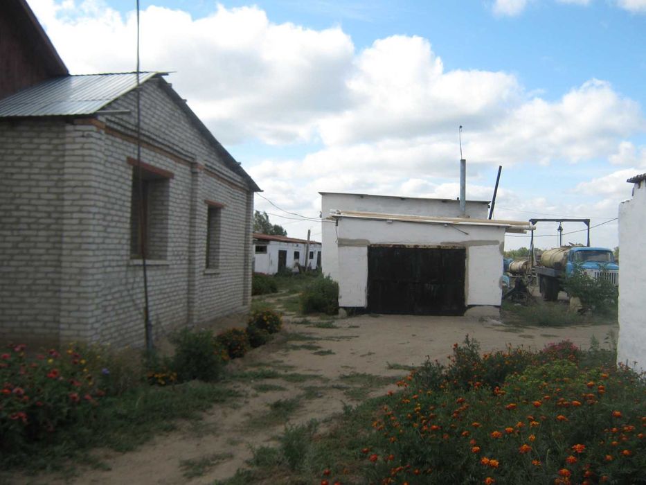 продам два дома в с. Новоямышево