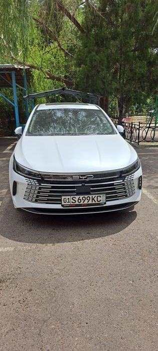 Byd chazor Champion