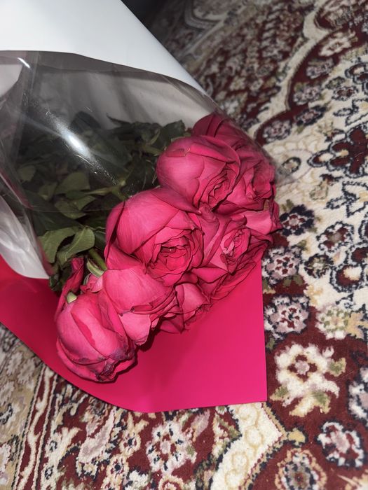 Розы красивые ал