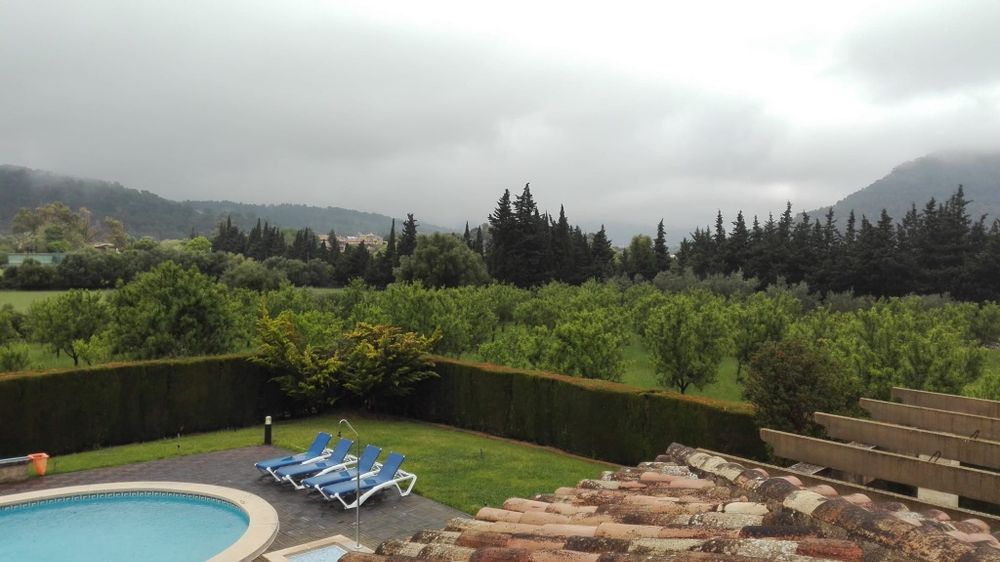 Amenajari grădini și orice tip de spații verzi, gazon, sisteme de irigații,etc. Tratamente, mentenanță piscine.