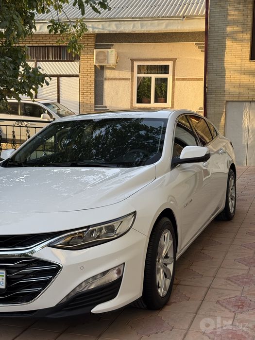 Malibu Premier малибу