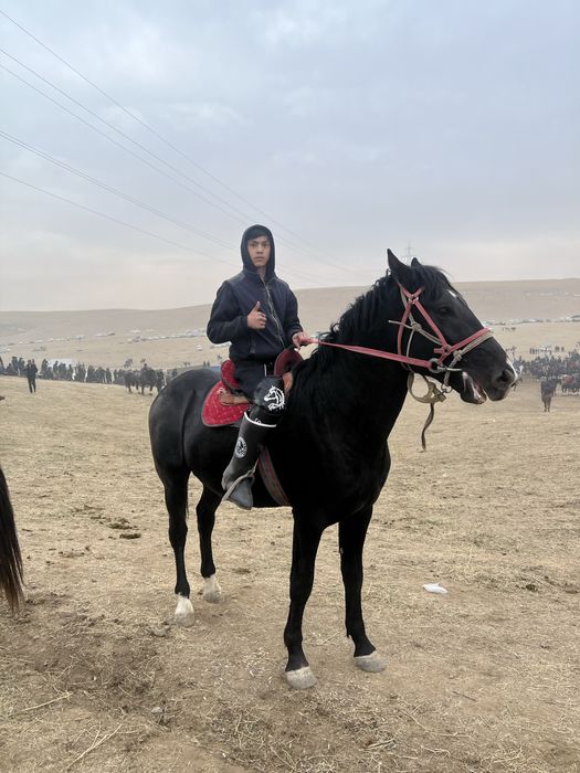 Ot 1ta uloqa chopadi