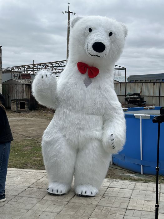 Заказ, Аренда белого Мишки