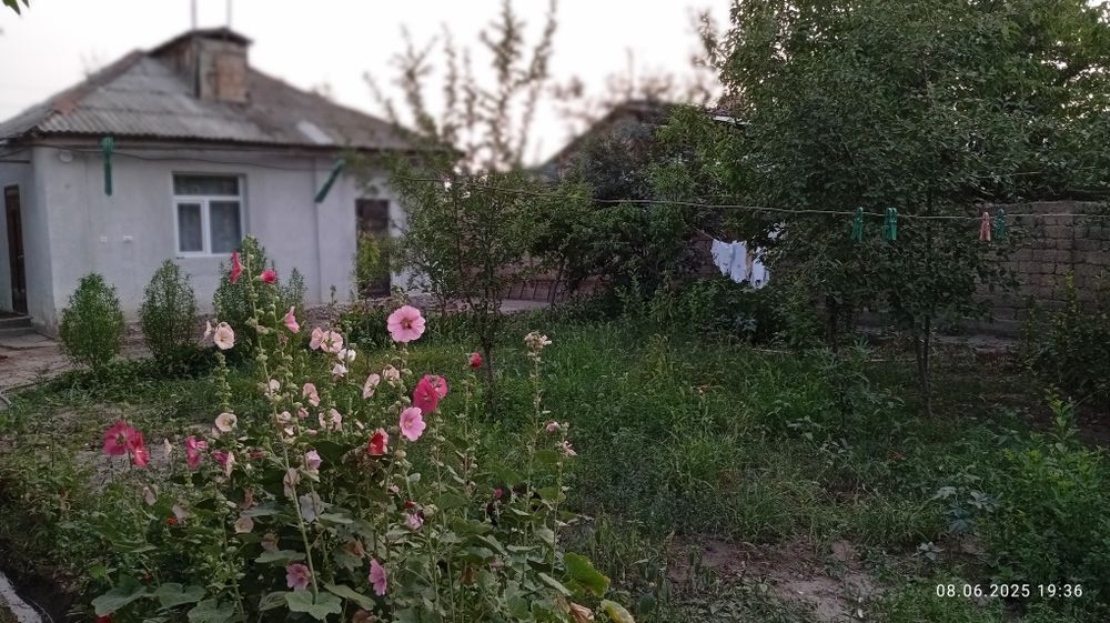 Ховли Уй сотилади