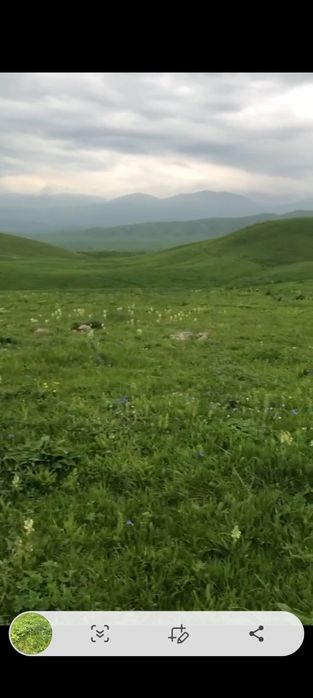 Продается земля .Жайляу 250га