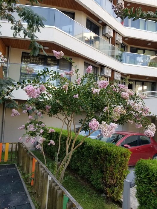 Дава се под наем Двустаен апартамент в Варна, Бриз - 60 кв.м за 550 € - Снимка #7