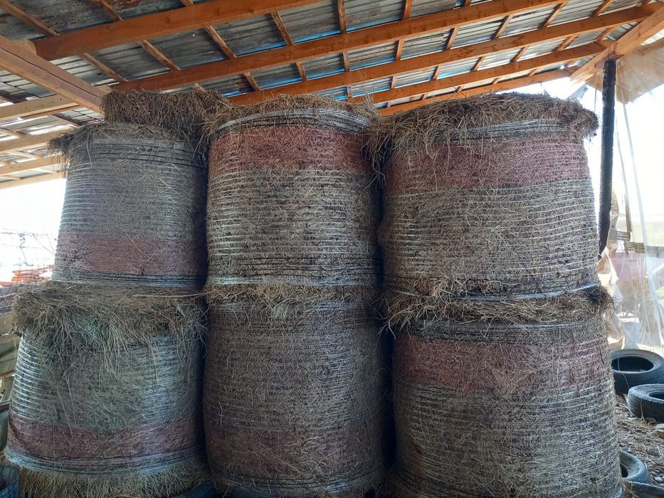 Baloti amestec fan lucerna