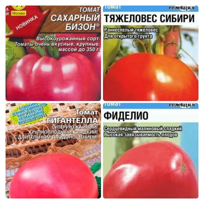 Рассада  огурцов,томатов, перца, баклажан