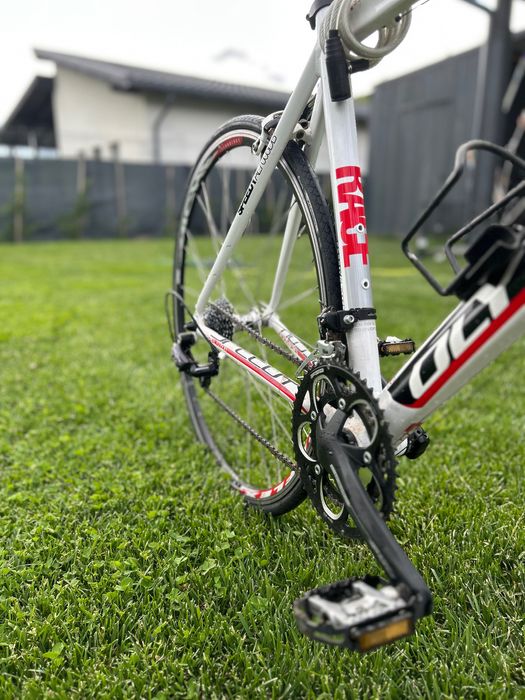 Cursieră Olympia Speedy Race AL7005DB, Campagnolo Veloce, Carbon, 54