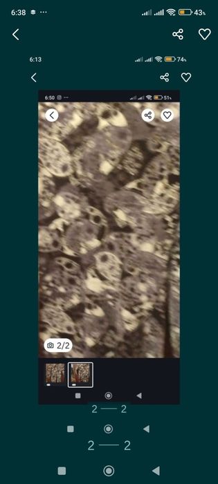 Костюм пиджак виливет.