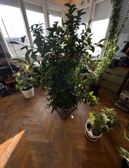 Продава се  2 етажна къща със приземен етаж  108 квадрата на етаж.