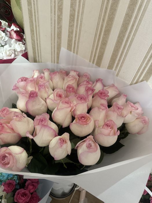 51 роза розовые