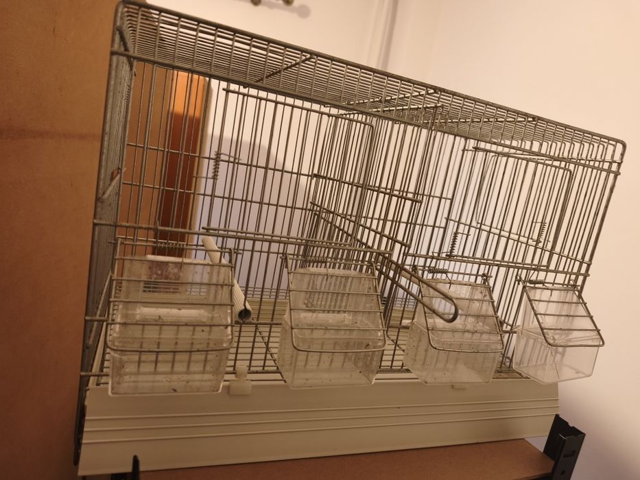 Colivie pentru canari