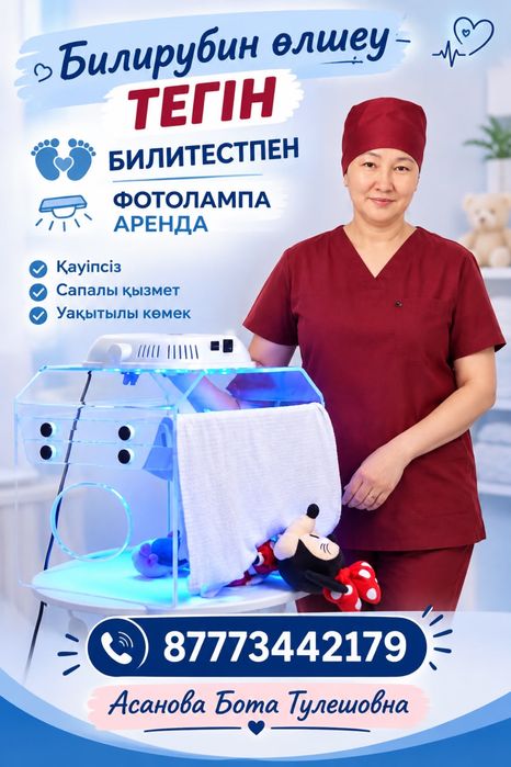 Фотолампа на аренду 5000