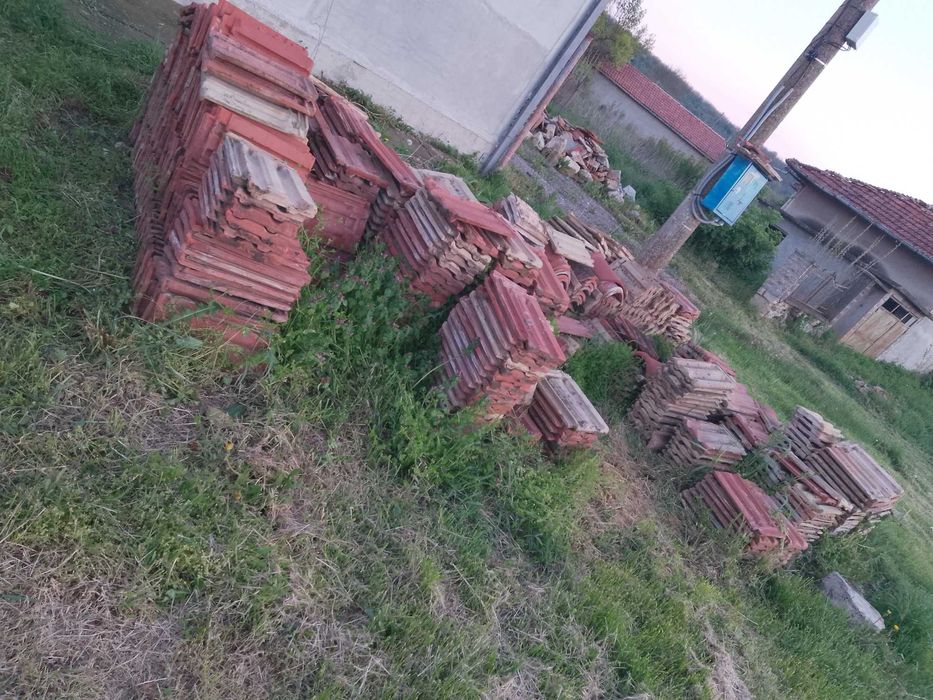 Керемиди 5 вида здрави има