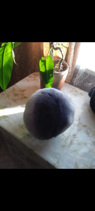 Шапка норковая женская