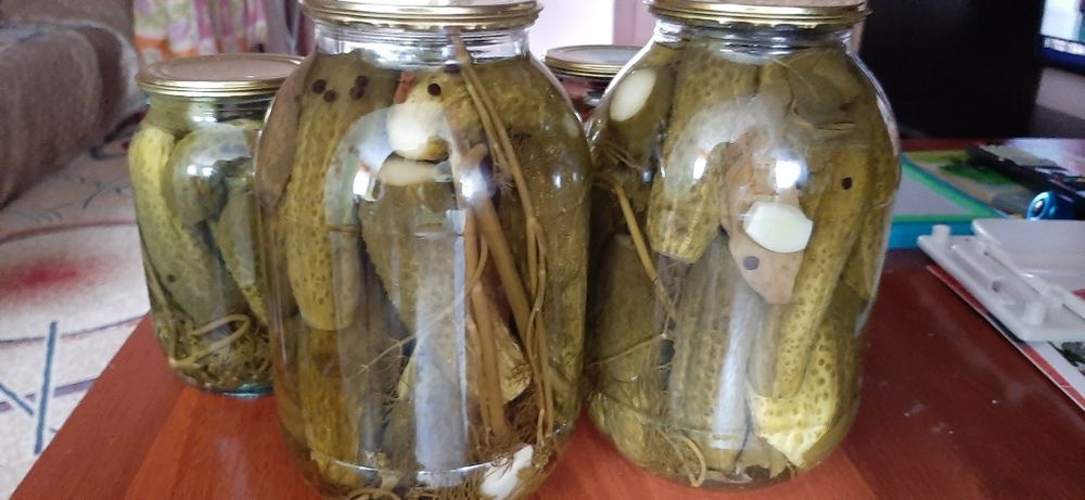 Соленые огурцы и помидоры домашняя