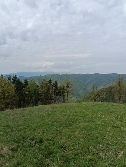 Vând teren în satul Târsa