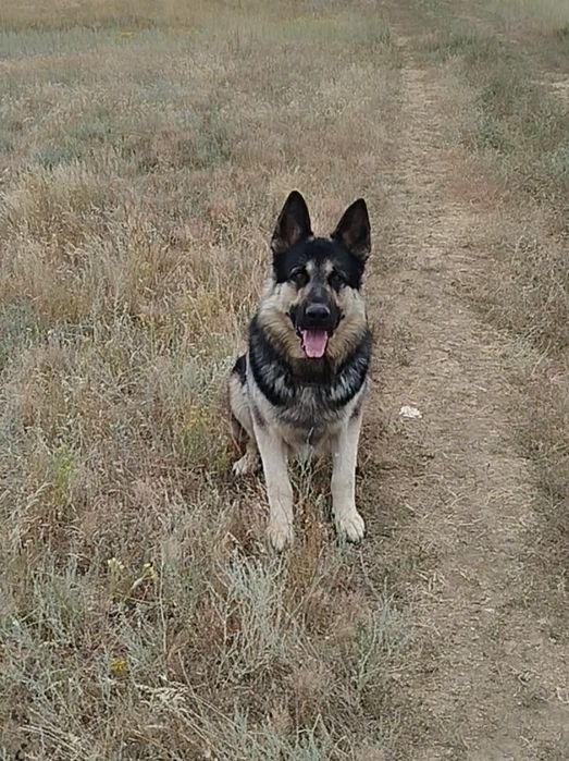 Вязка ВЕО кабель